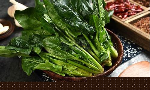 线上菠菜入口：菠菜大全(菠菜大全图片)