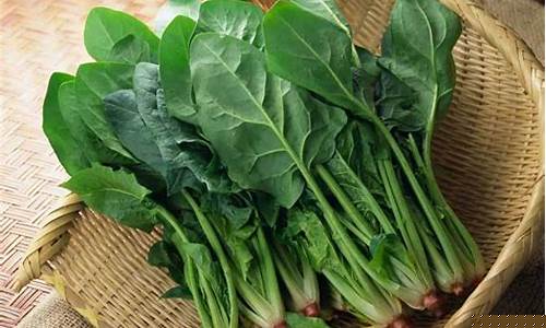 线上菠菜入口(菠菜网上平台)