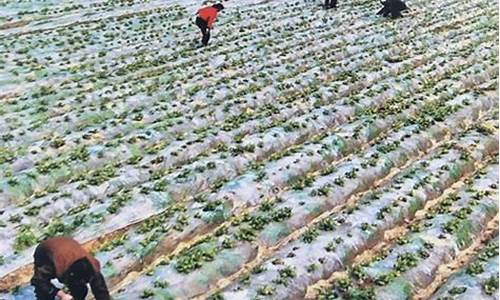 菠菜导航(菠菜导航网(中国)多元入口 - 信誉保证)